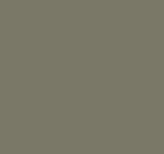 Mercedes Moss Grey - Image 2