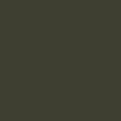 Grey Olive RAL 6006 – Standard Colour - Image 2