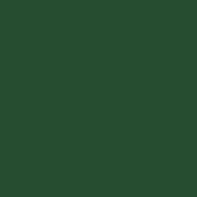 VW Volkswagen Elm Green – L60D - Image 2