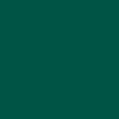 VW Volkswagen Friesen Green – LL6T - Image 2